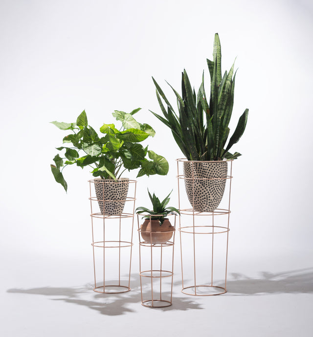 Plant Pod Set
